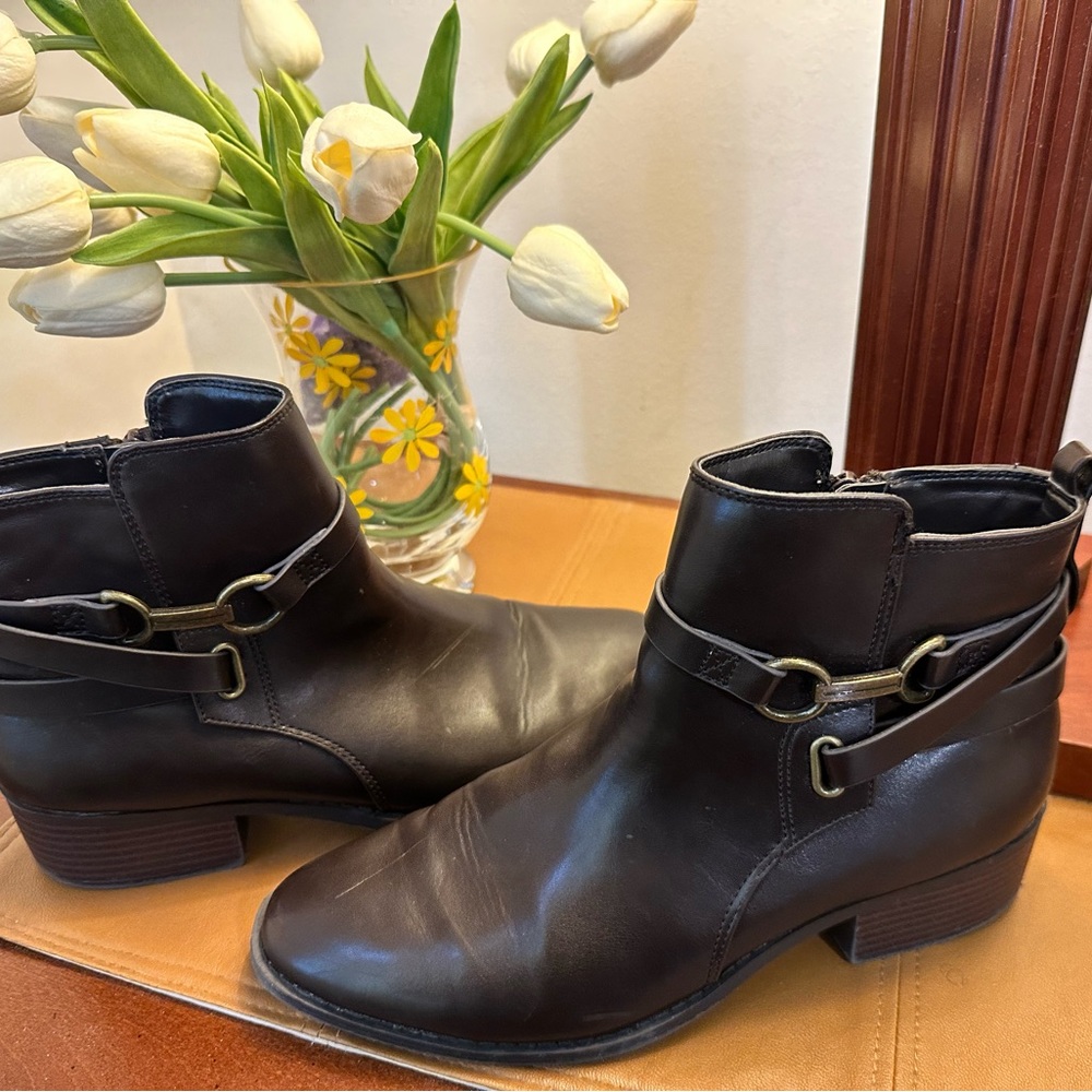 Ann Taylor Factory booties